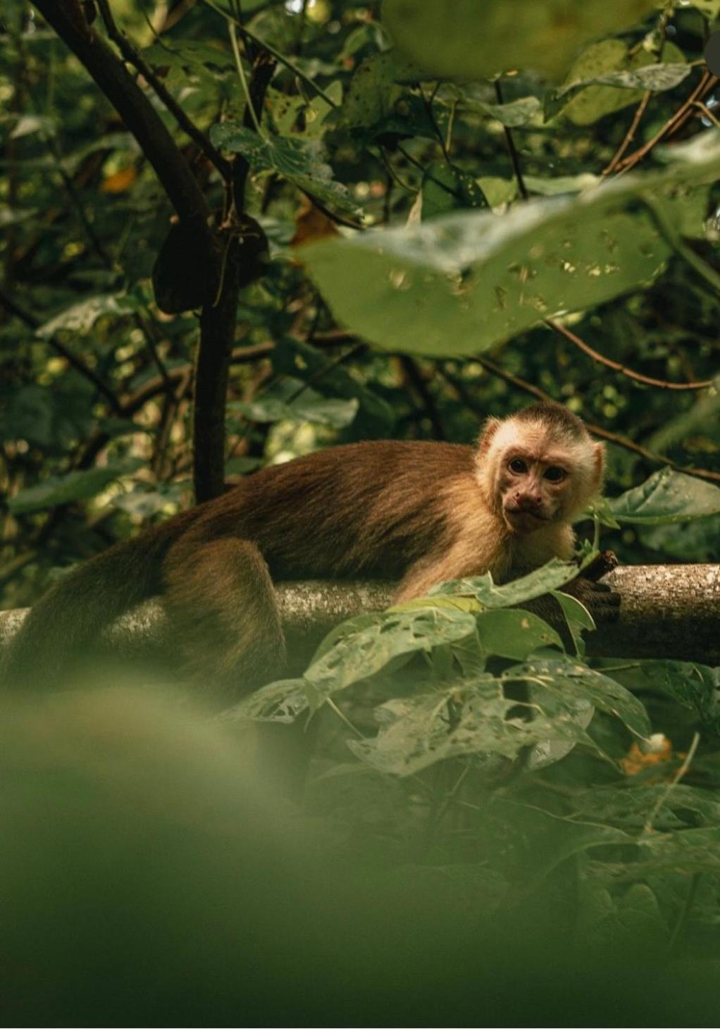 Arrecifes Refugio Natural サンタ・マルタ エクステリア 写真