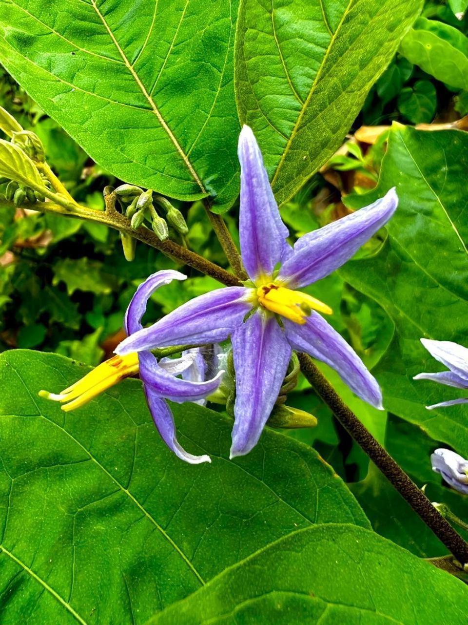 Arrecifes Refugio Natural サンタ・マルタ エクステリア 写真
