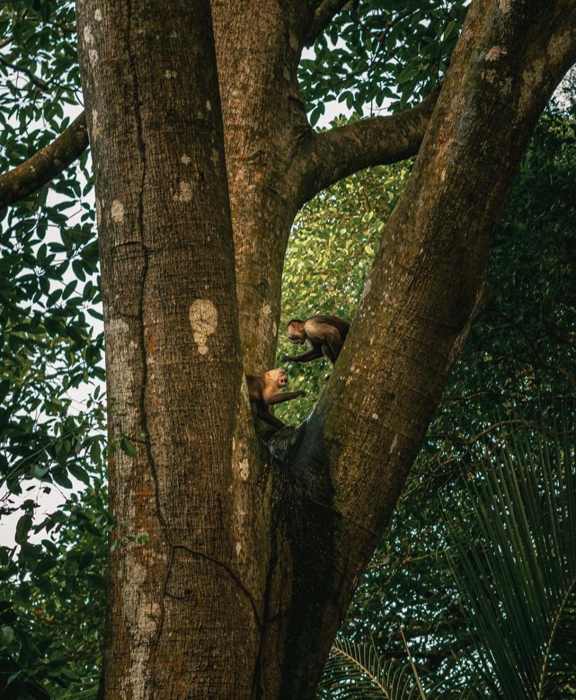 Arrecifes Refugio Natural サンタ・マルタ エクステリア 写真